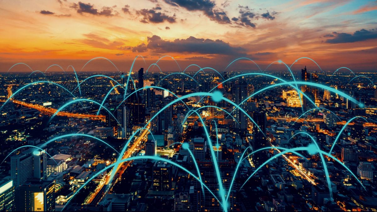 WP11 Network Meeting – February 2026