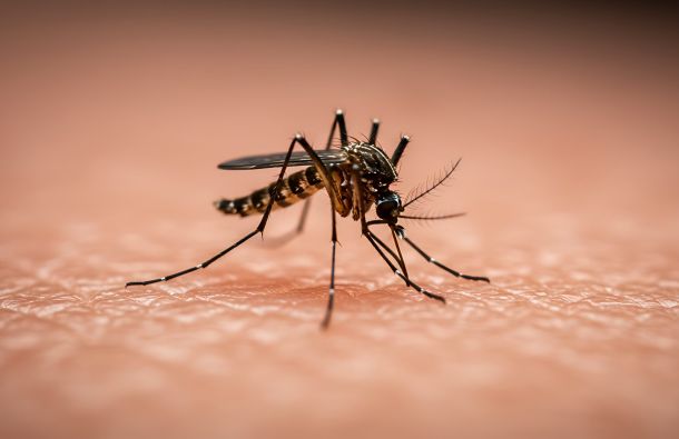 wp-content/uploads/2026/09/AdobeStock_1486609032-scaled.jpeg